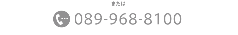 電話番号 089-968-8100